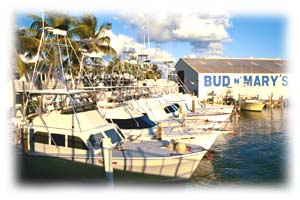 Florida Keys Fishing Charters Florida Keys Backcountry Guides Florida Keys Fishing