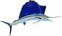 Florida Keys Fishing Charters Florida Keys Backcountry Guides Florida Keys Fishing